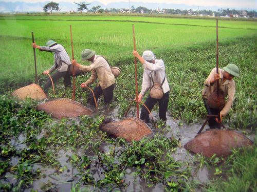 Đánh dậm